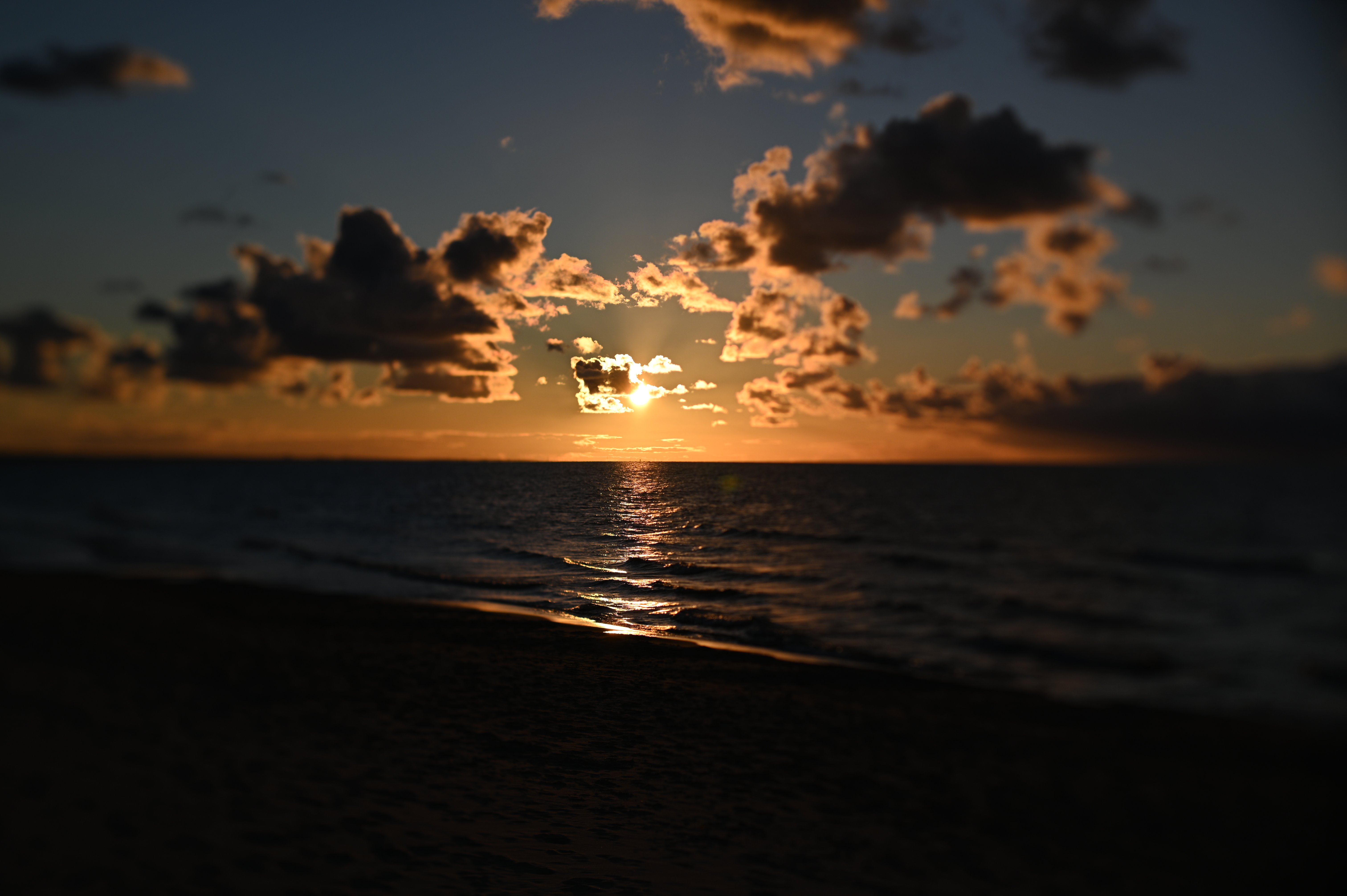 2025/10/18 - walk/DSC_0344.JPG